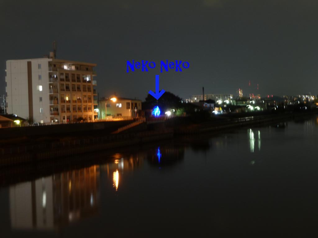 Guest House Neko Neko 丰中 外观 照片