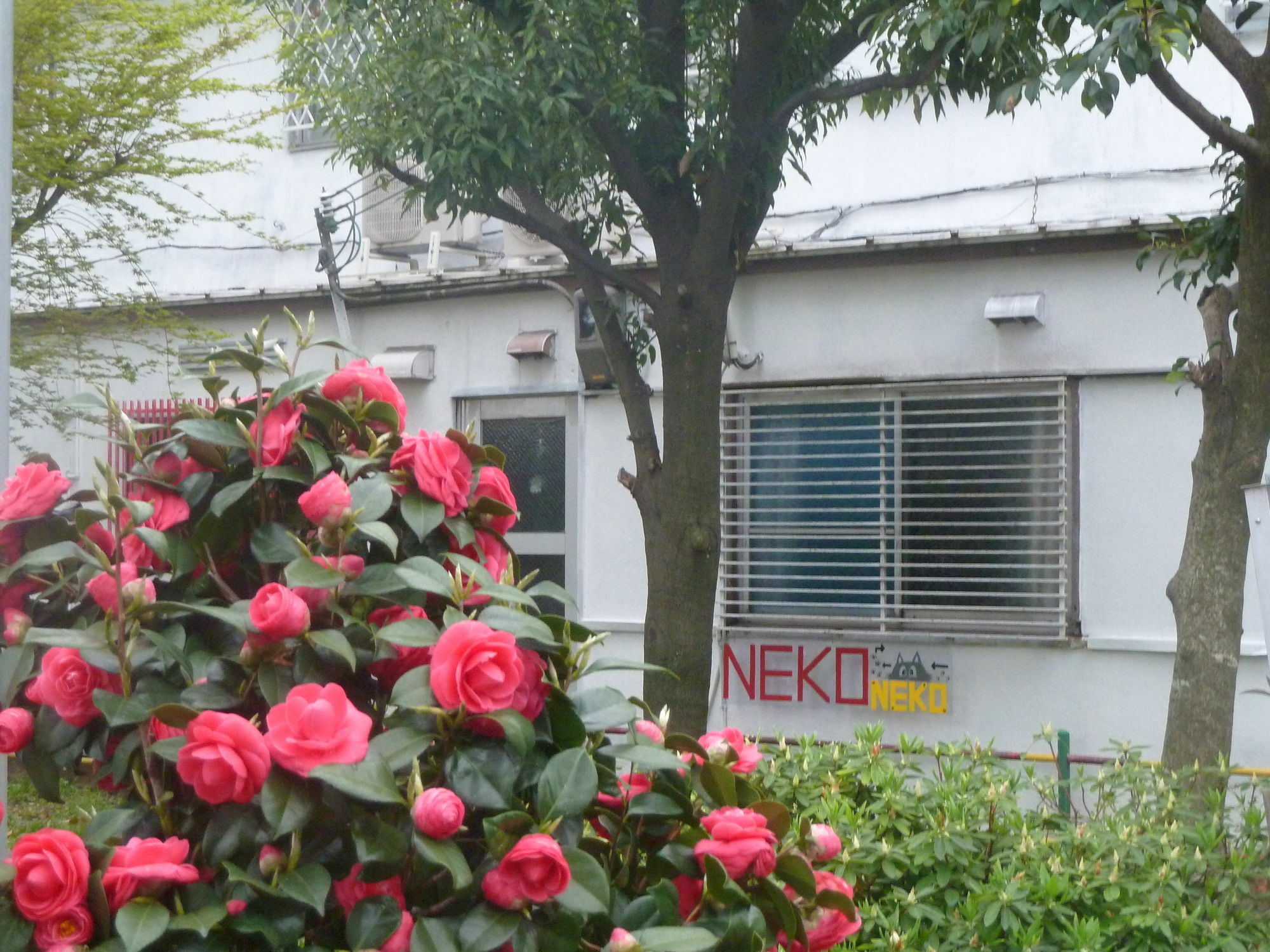 Guest House Neko Neko 丰中 外观 照片